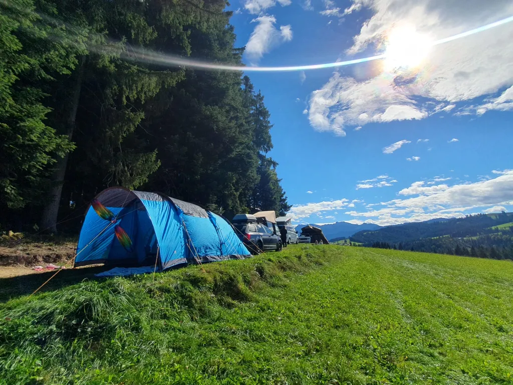 Bild von Carole für den Spot 335