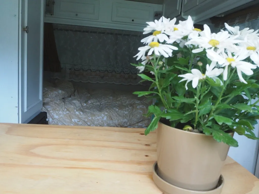 Cozy Vintage Caravan in the Woods - OffGrid Escape