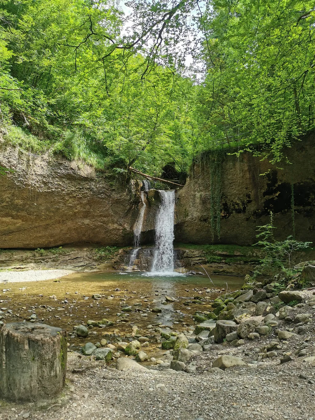 Schönau