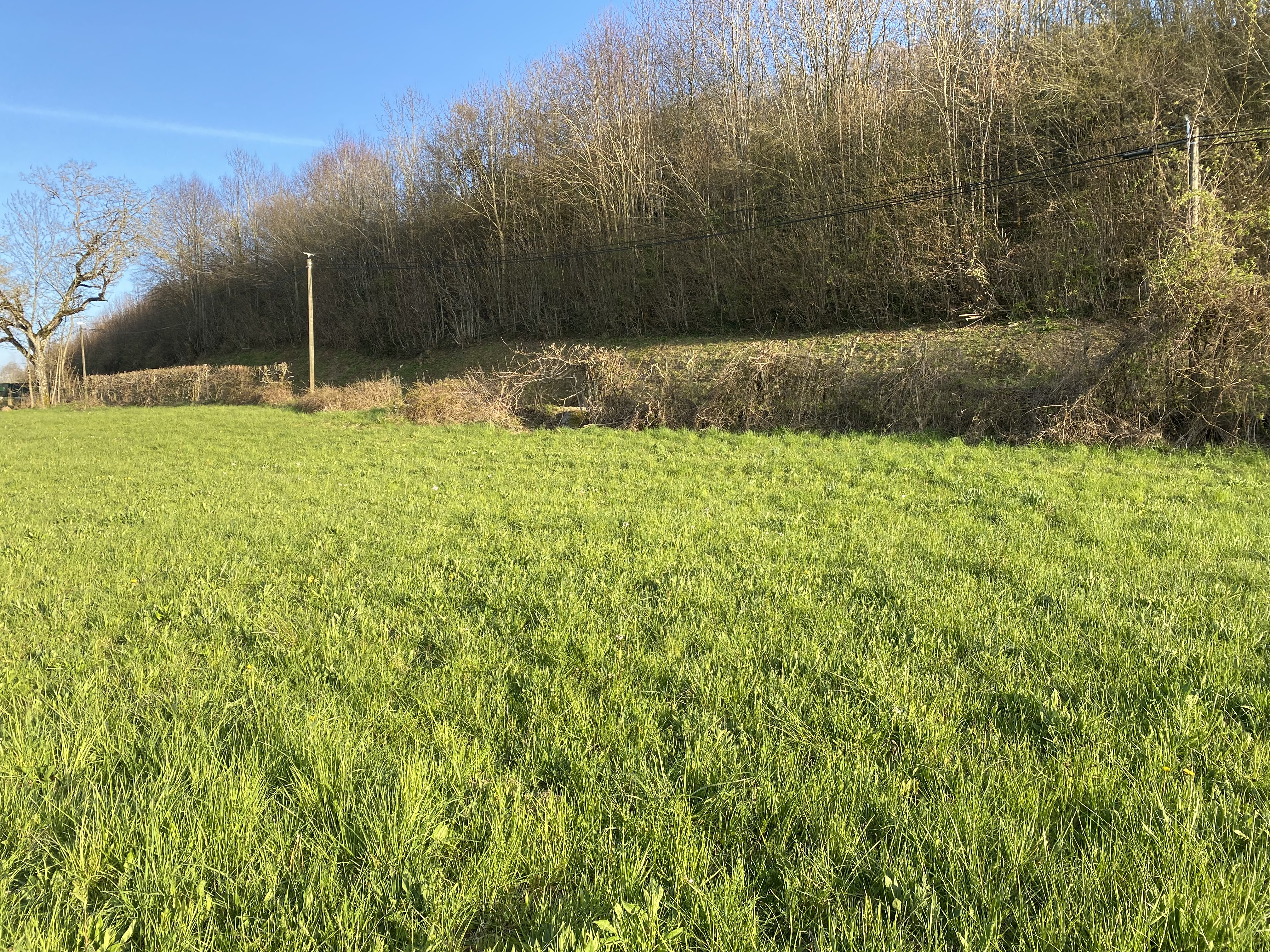 Terrain nature calme pour campeurs autonomes1000m2