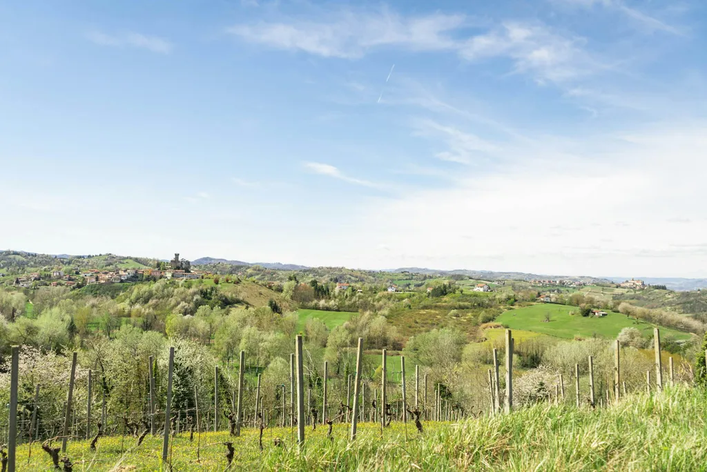 Camp La Signorina - Wild Lake