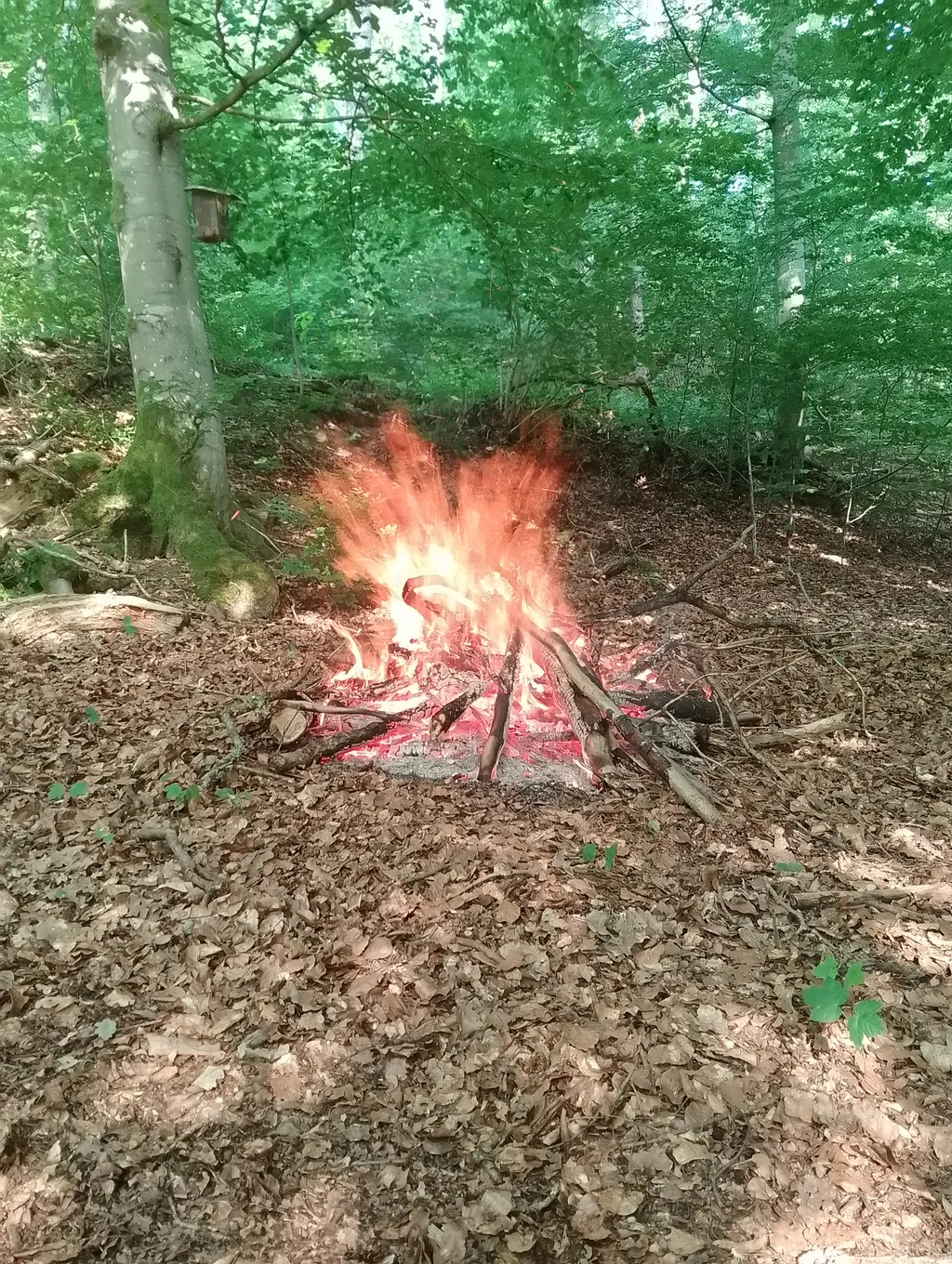 Image de Sandro pour le spot 3888