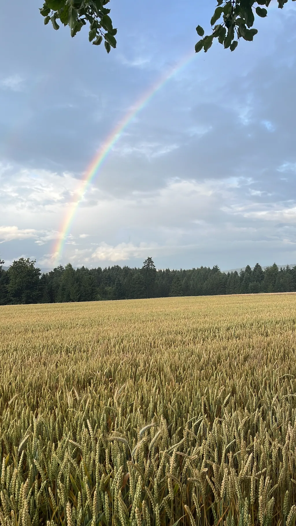 Bild von Dominique für den Spot 539