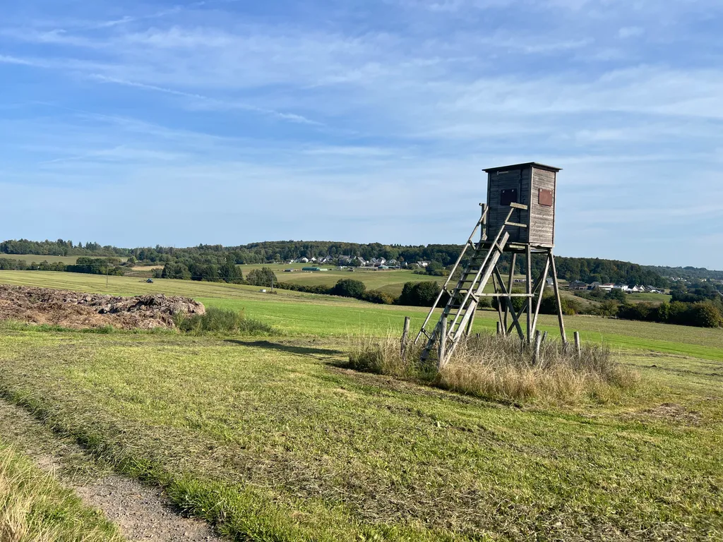 Bild von Dorit für den Spot 4078
