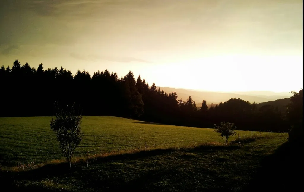 Zwischen Berg und Kuh beim Stefan