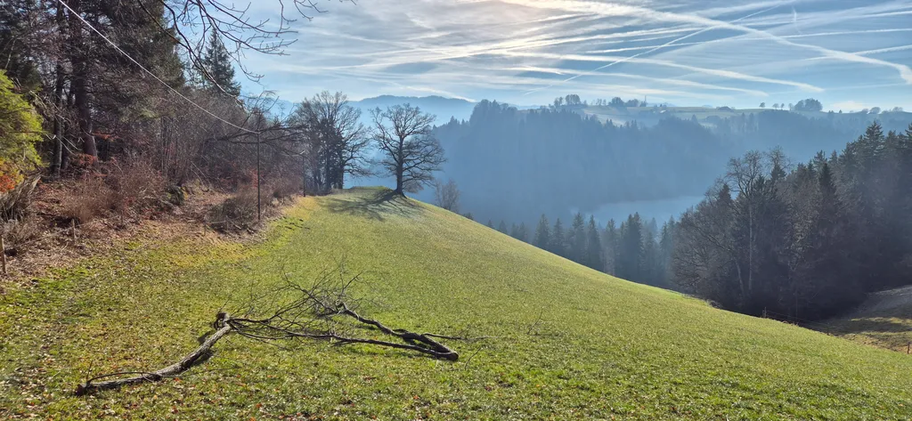 Bild von David für den Spot 137