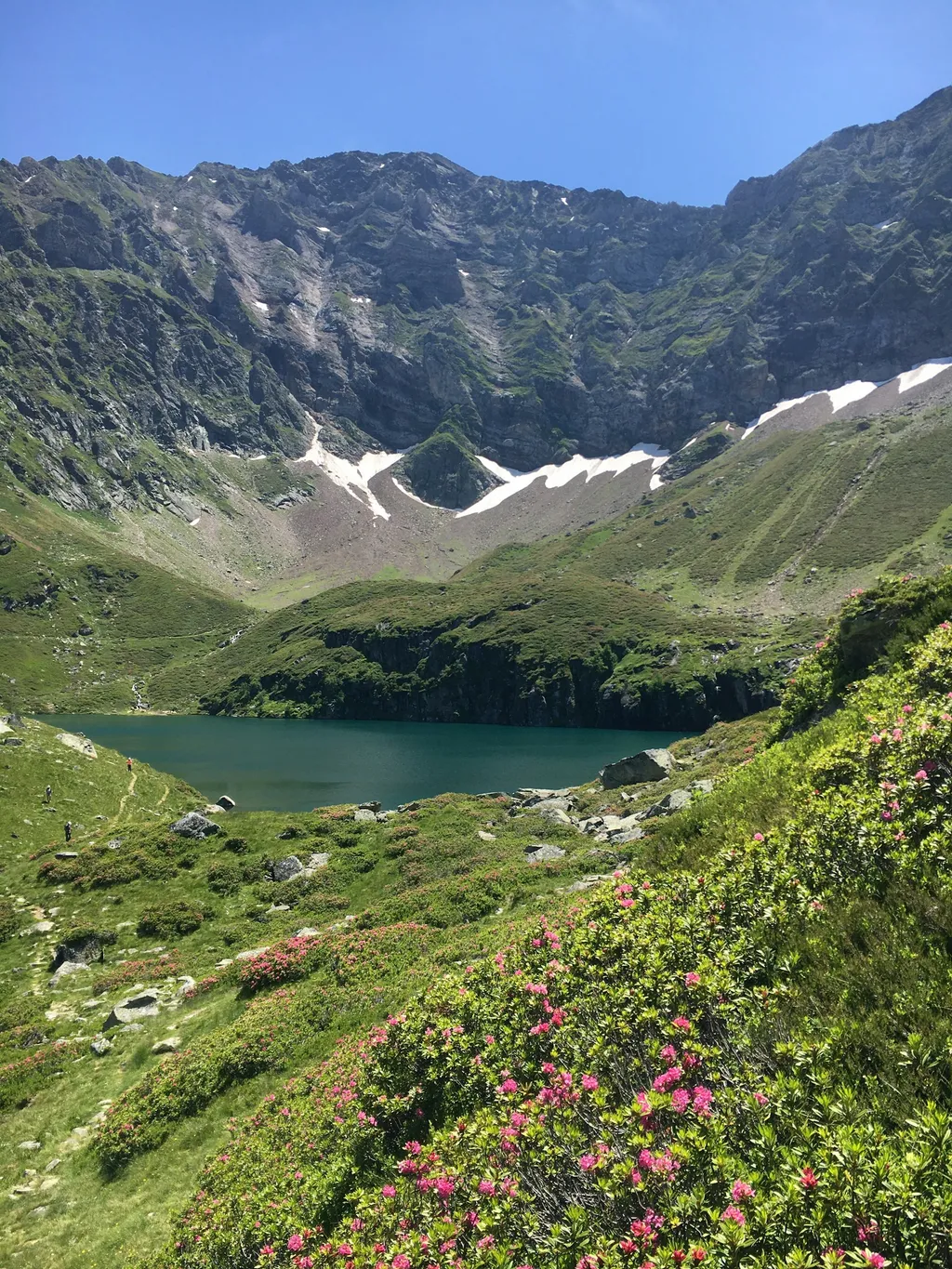 Camping près des montagnes