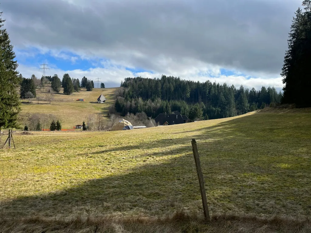 Ruhiger WiesenWaldPlatz