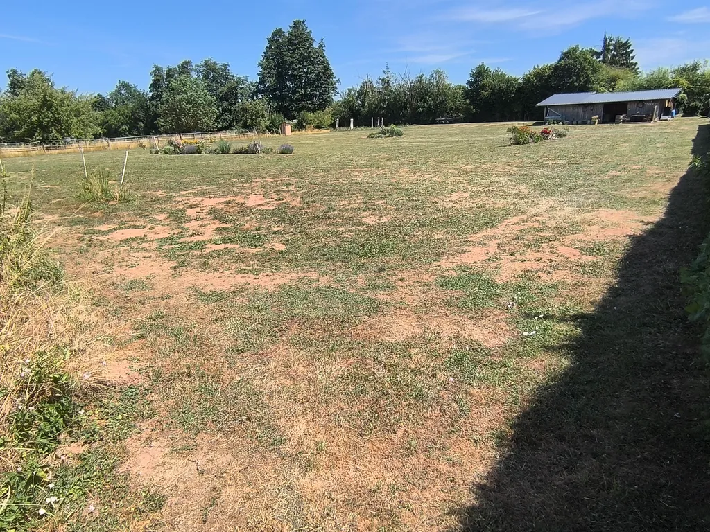 Ab in den Garten