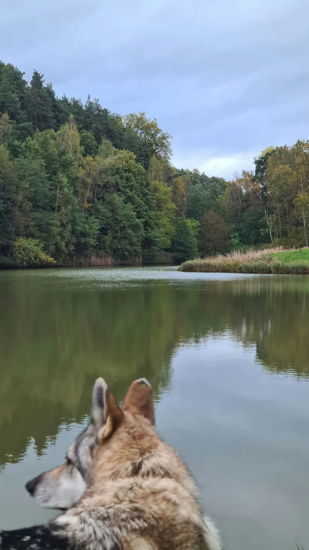 Naturnahe Stellplätze am Ortsrand