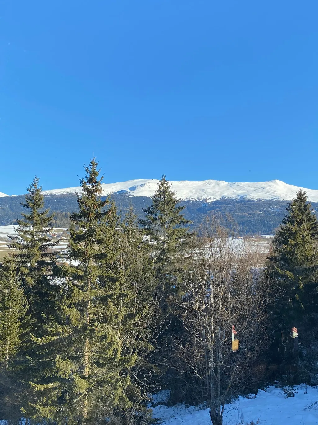 Auszeit am Bauernhof+Zirbitzblick
