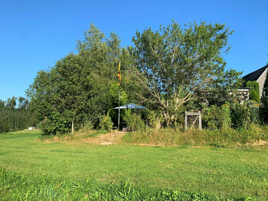 Tröimli Rüegsbach - Wanderfauke