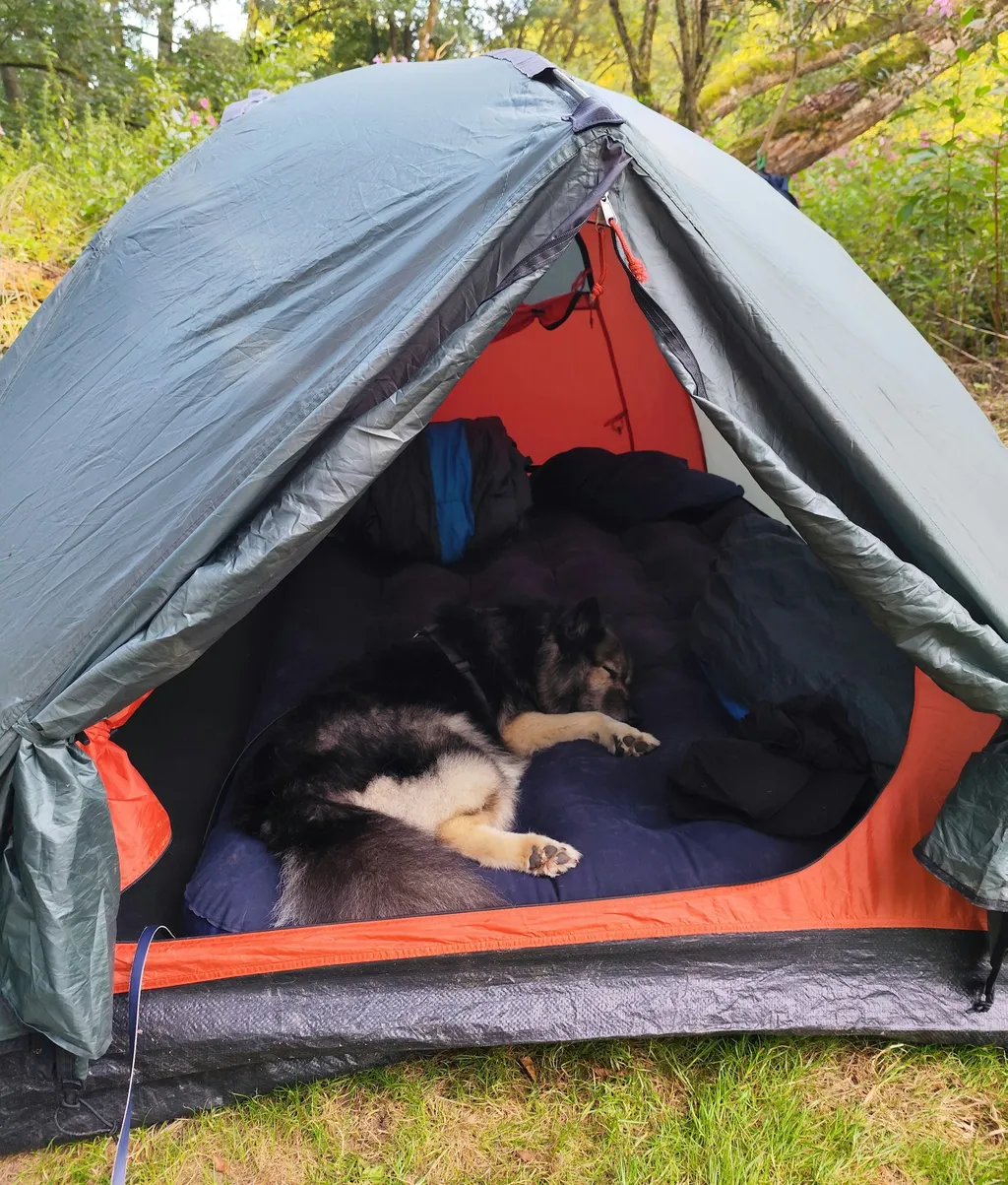 Profilbild von Maren & Alfred