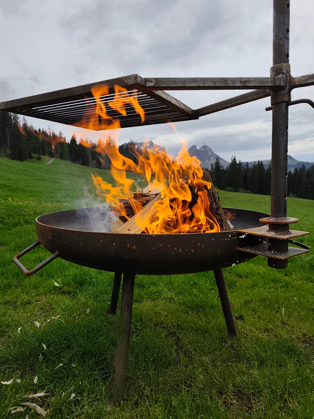 Bödelihof - Bergbauernhof, Bergsicht, im Grünen