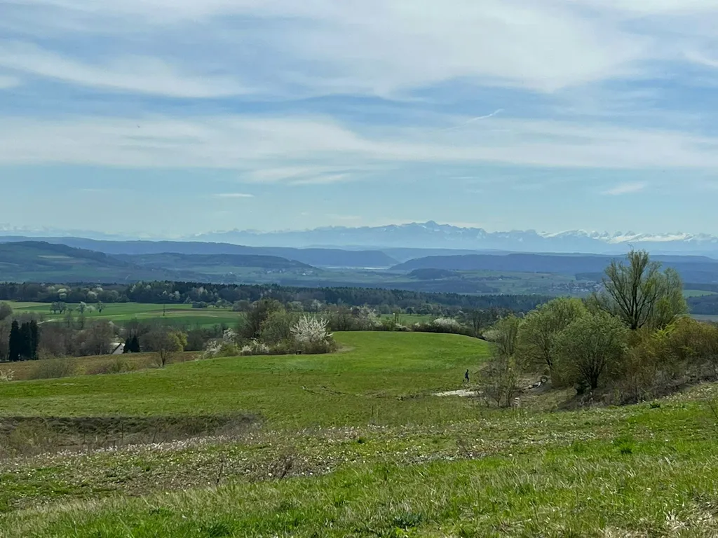 Wiese mit Fernblick in die Alpen