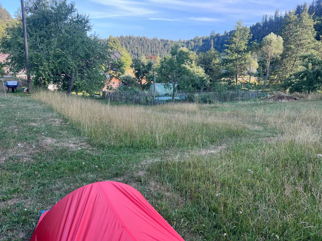 Bild von Catherine für den Spot 4354