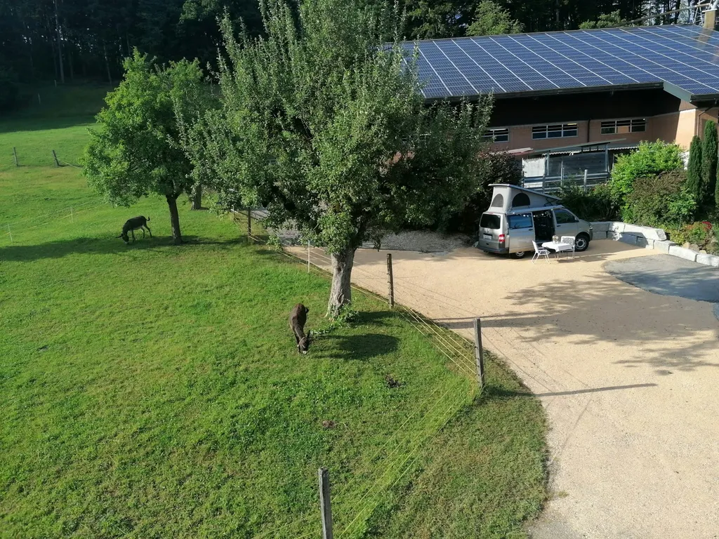 Camp beim Himmelricher Garten