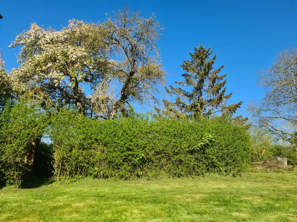 Zelten auf der Obstwiese
