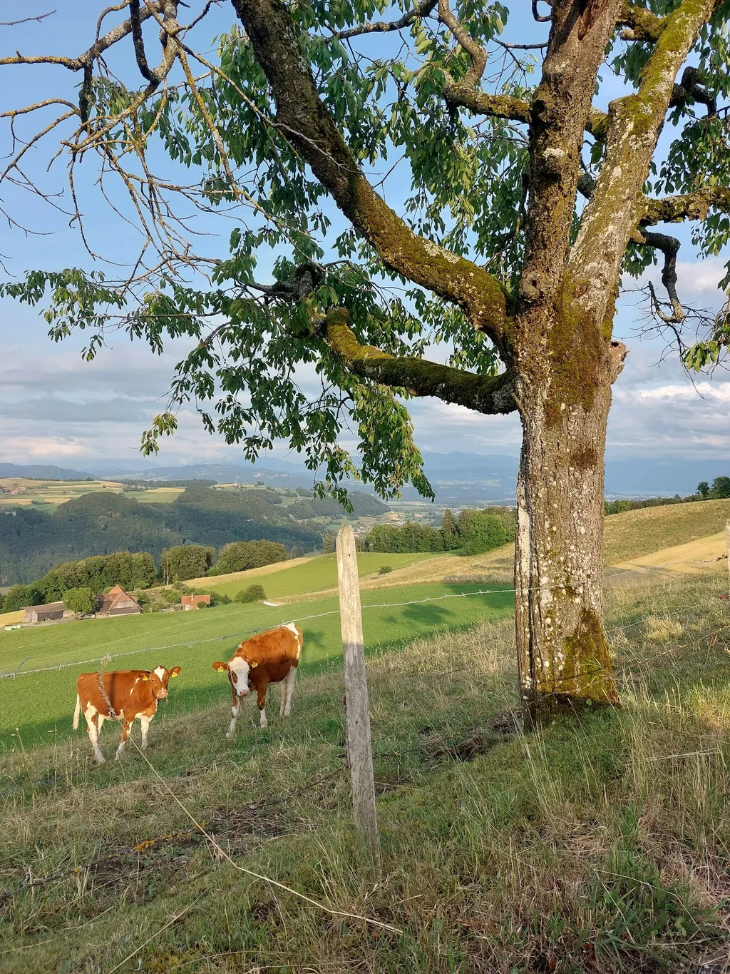 Natur und Gastfreundschaft