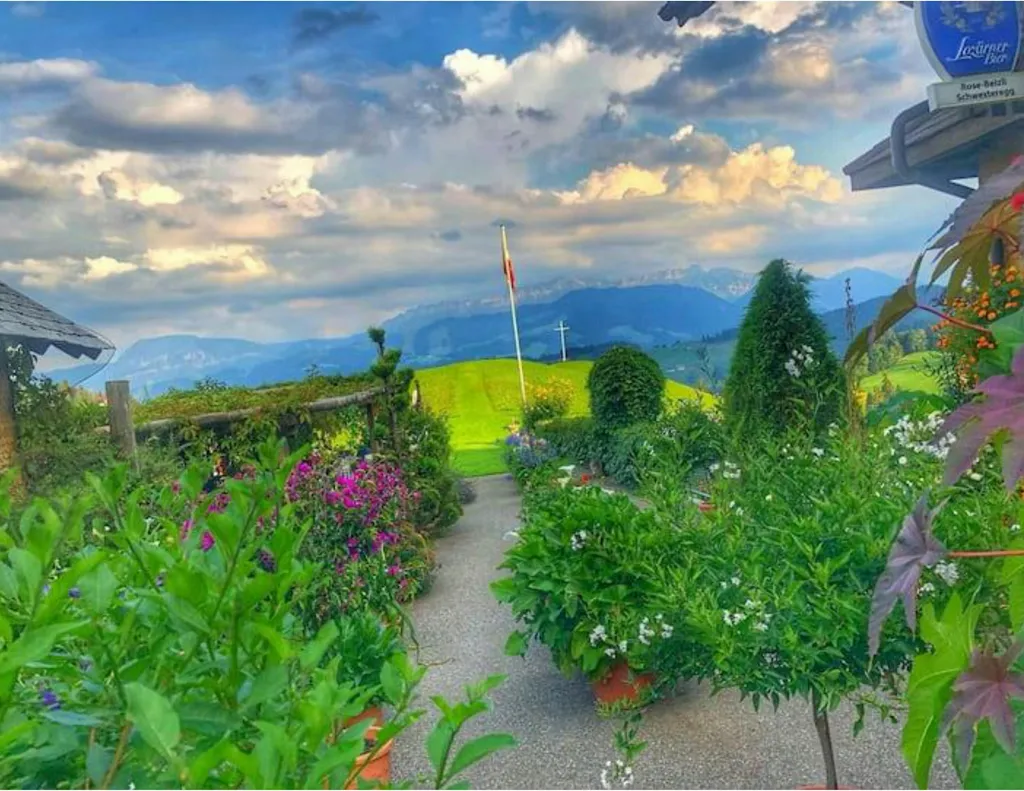 Rose-Beizli im Sommer