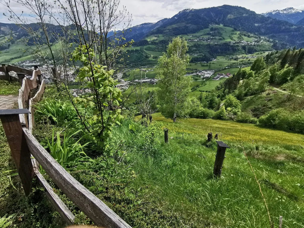 Auszeit auf der Wildtier-Alm