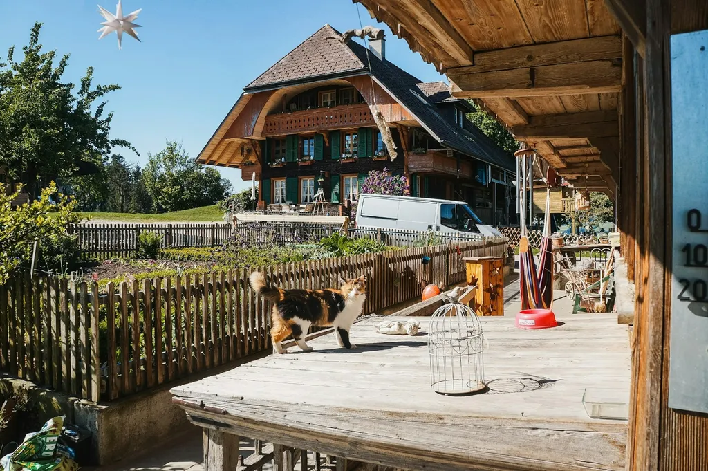 Unter dem Kirschbaum