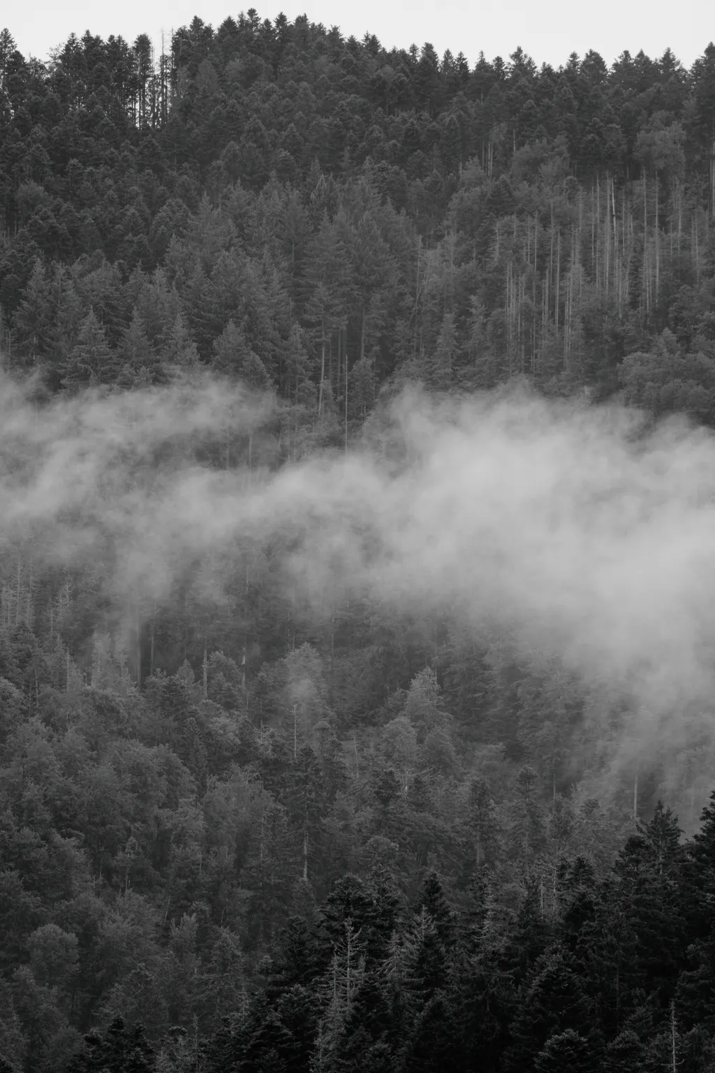 Bild von Steffen für den Spot 3998