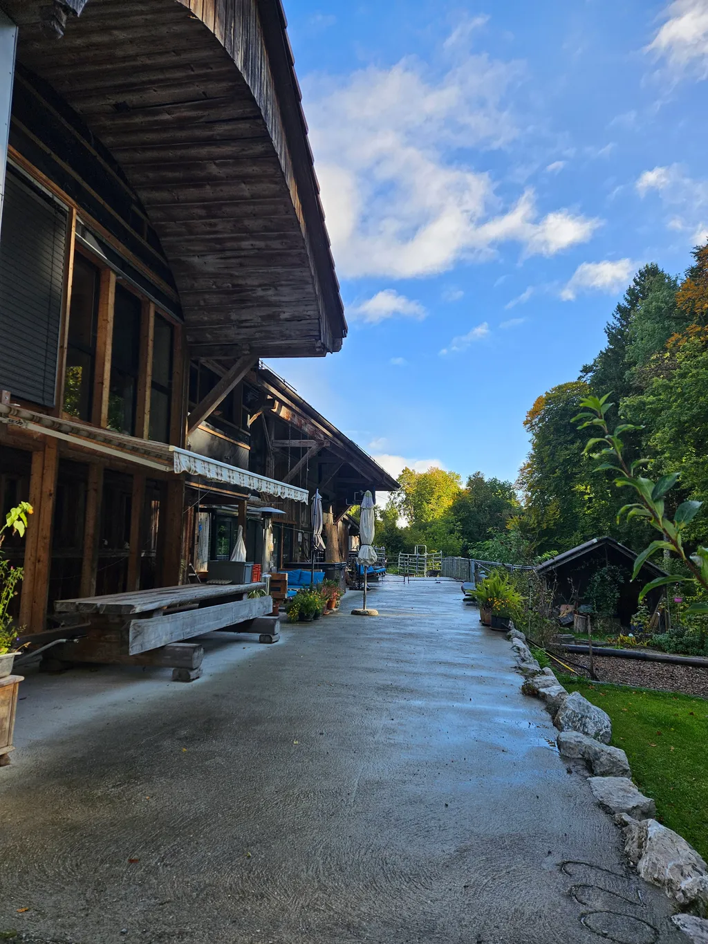 Image by Sereina for spot 3882