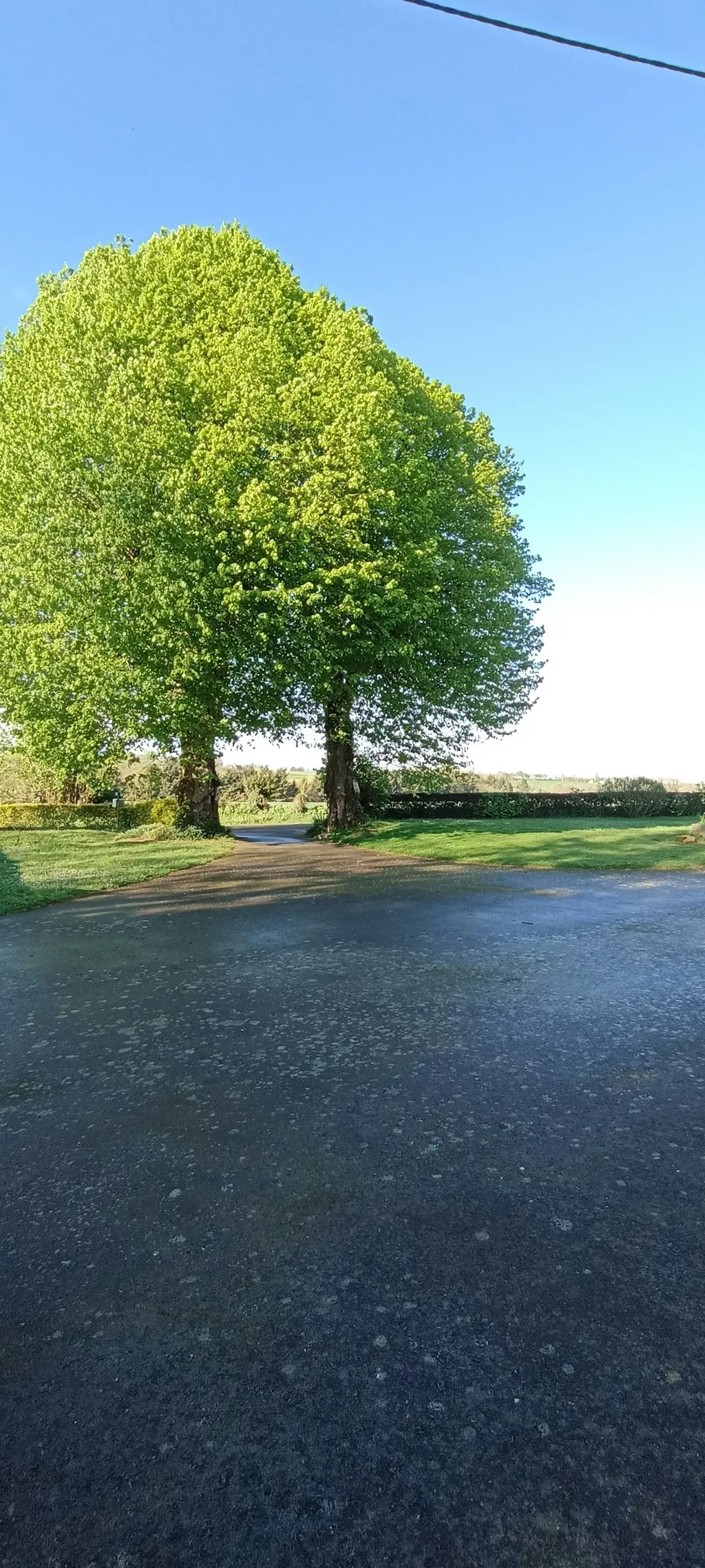Ruhiges Camping in der Normandie