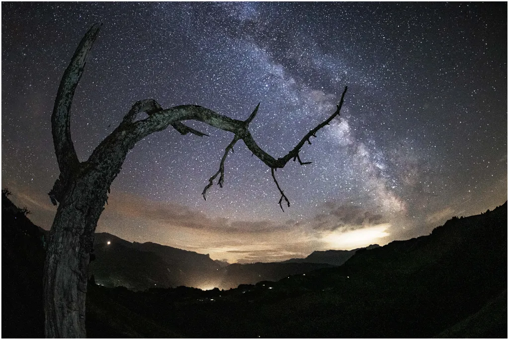 Image by Pius for spot 4425