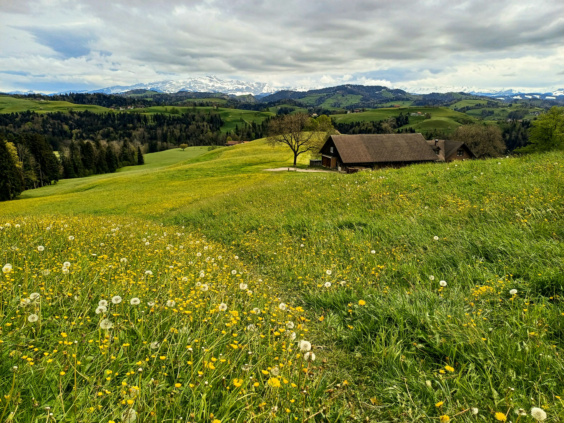 LilaLila Lodge, die grüne Insel