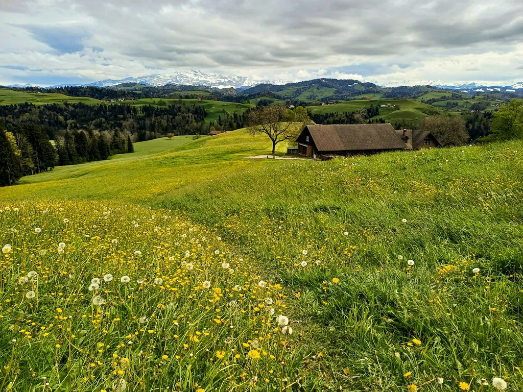 LilaLila Lodge, die grüne Insel