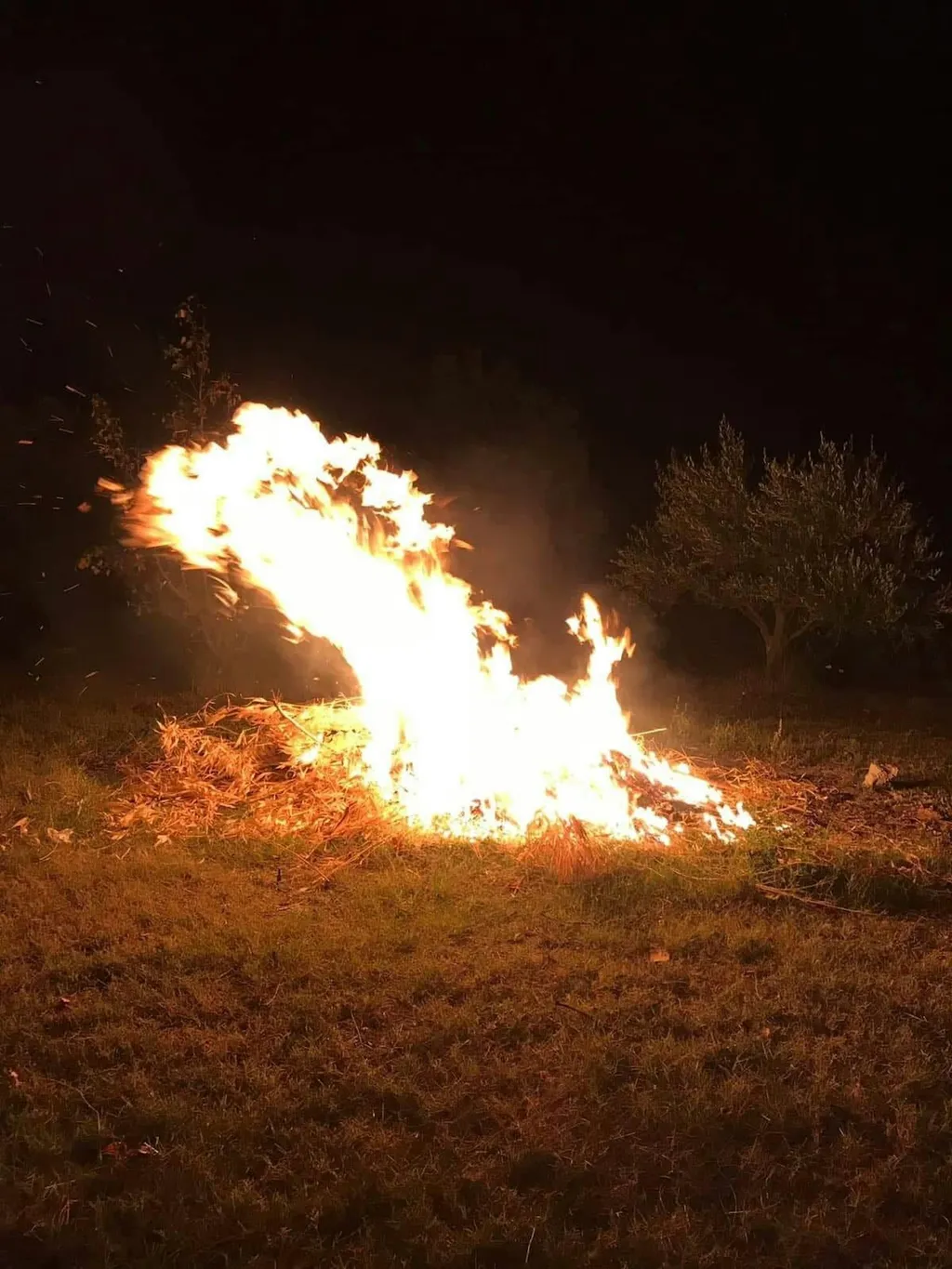 Colline brisighellesi
