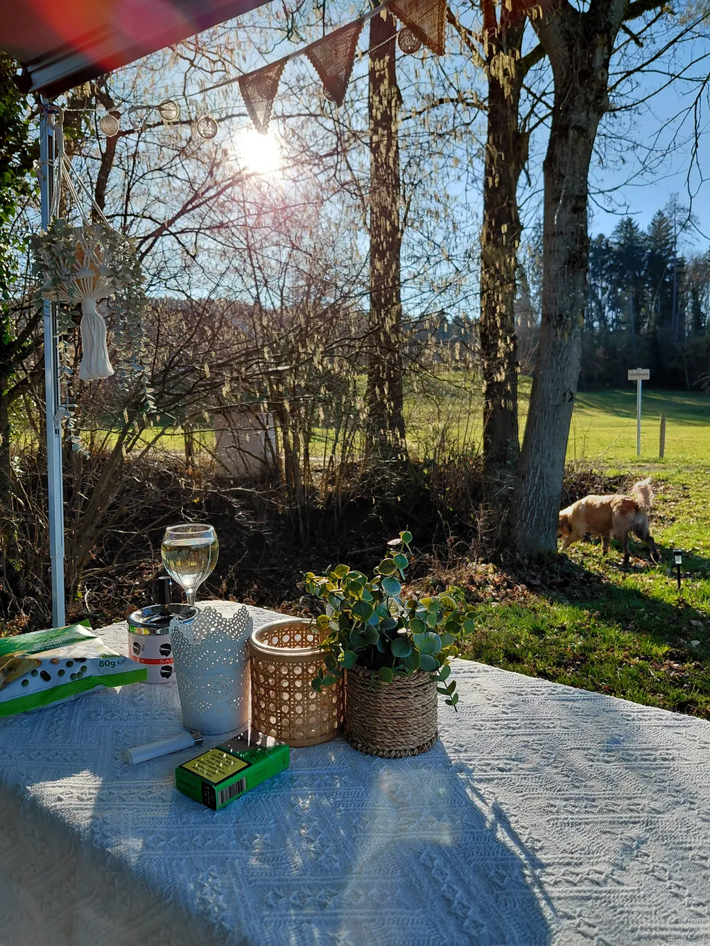 Bild von Simona für den Spot 315