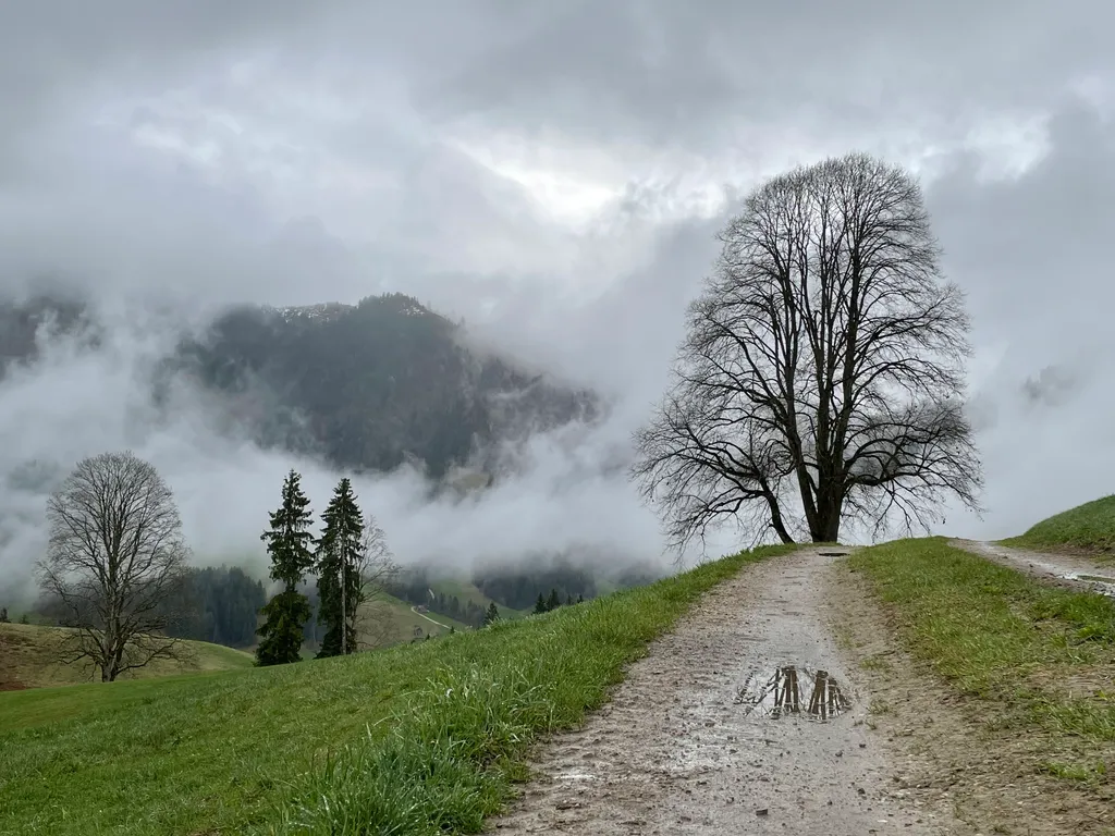 Image by Barbara for spot 298