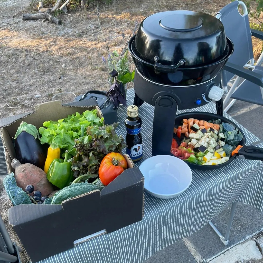 Caria’s Organic Farm near the Silver Coast surf
