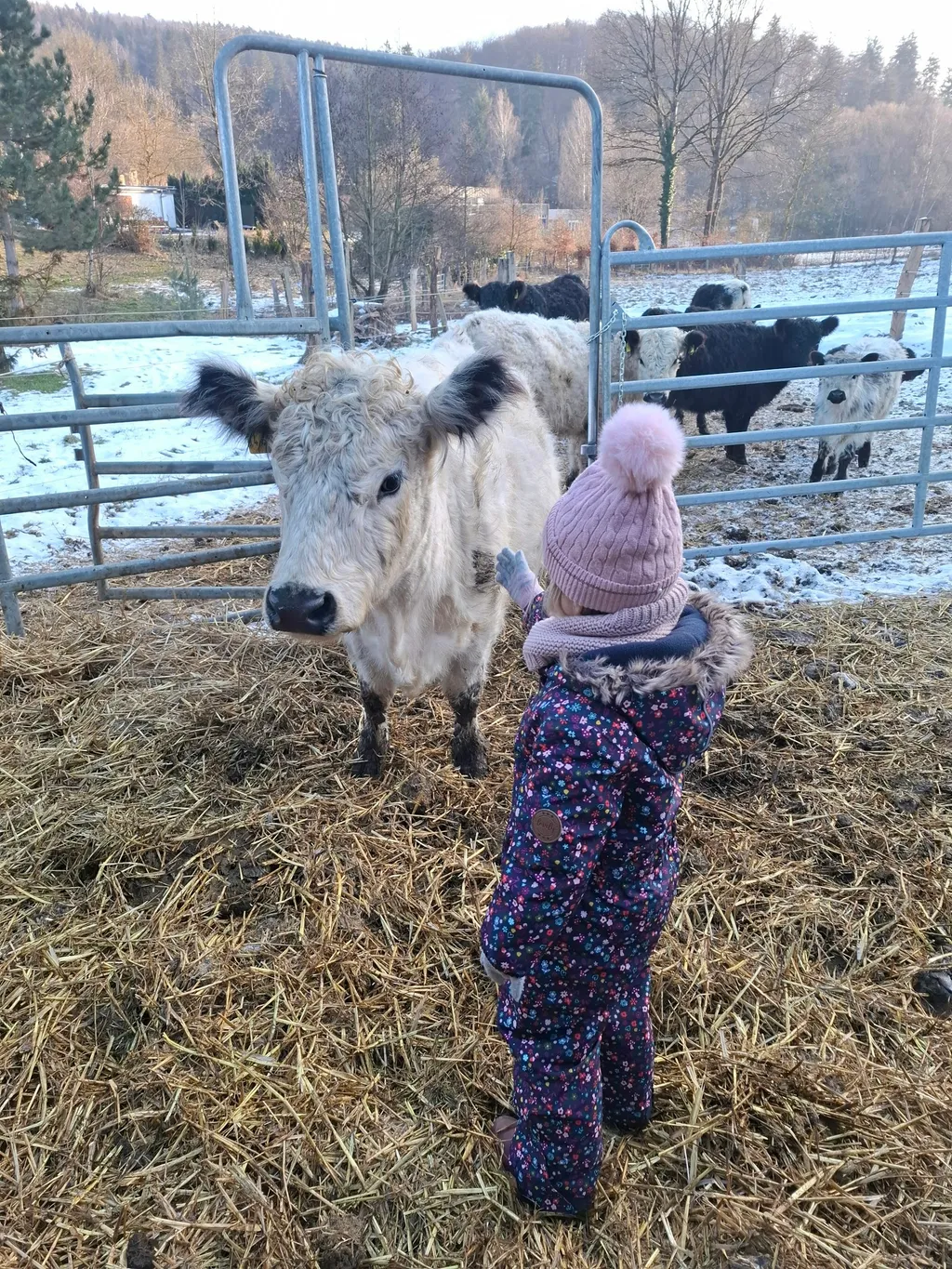 Ruhiger Stellplatz auf Hofstelle