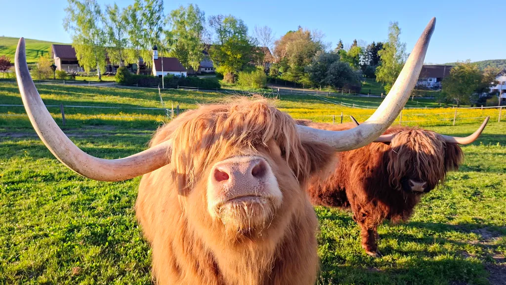 Bild von Markus für den Spot 1753