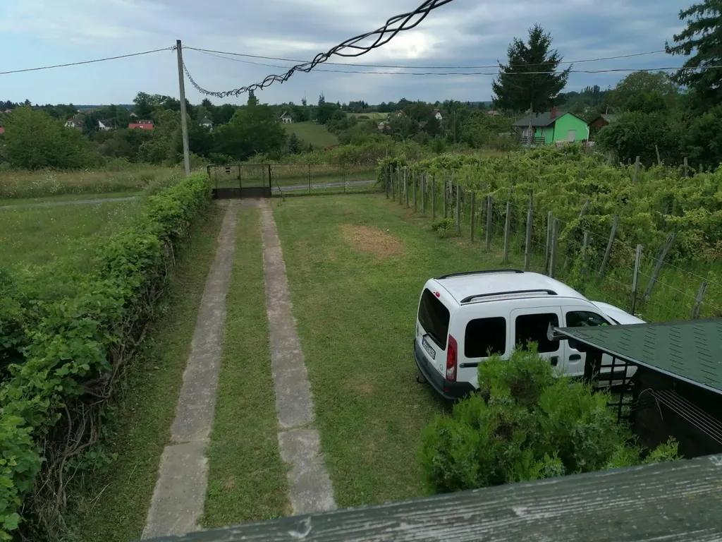 Kleiner Weinberg, ebenes Grundstück