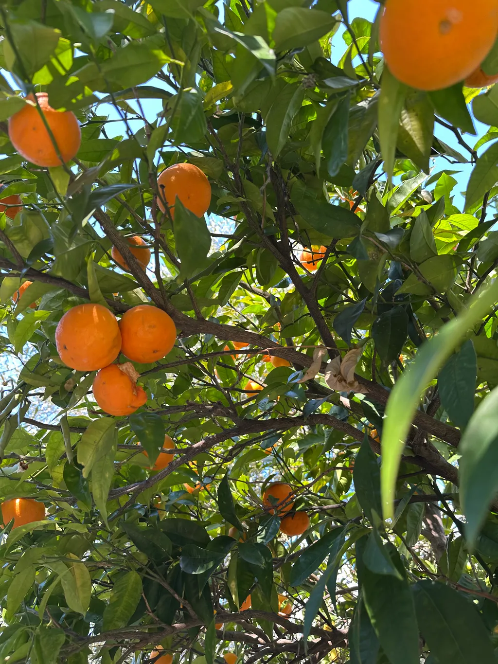Bild von Henry für den Spot 1103