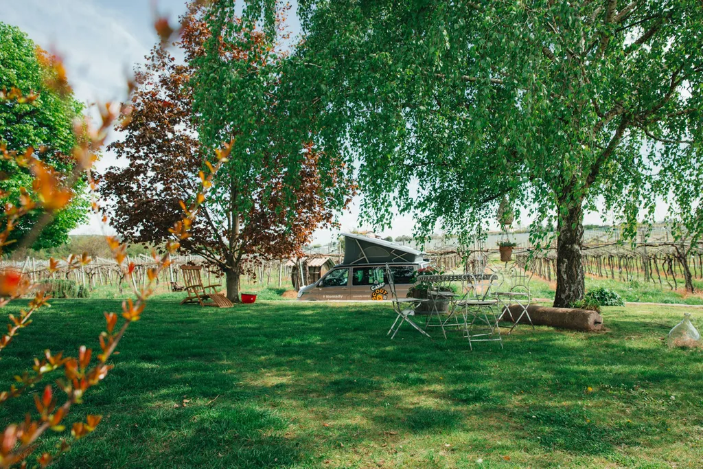 Corte Odorico Wine Experience