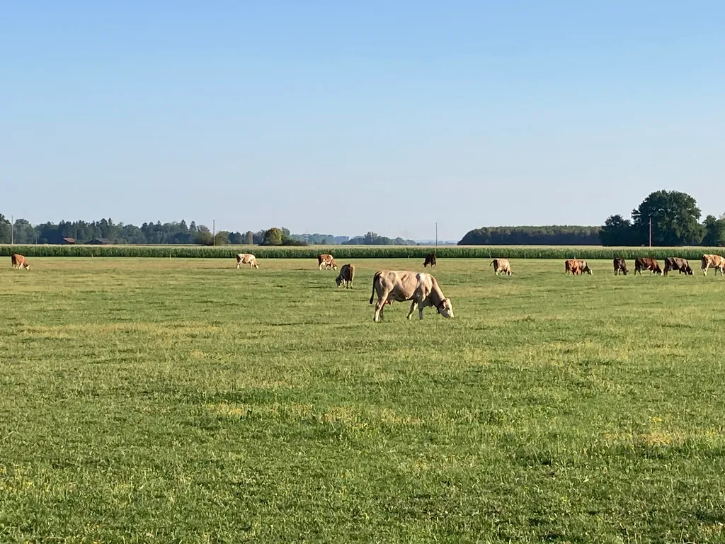 Bild von Anja für den Spot 1622