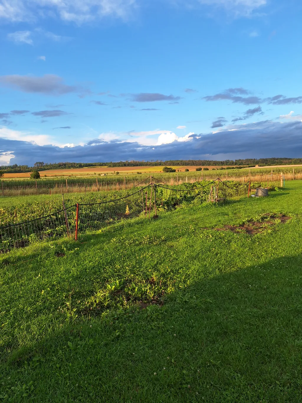 Bild von Regina für den Spot 4178