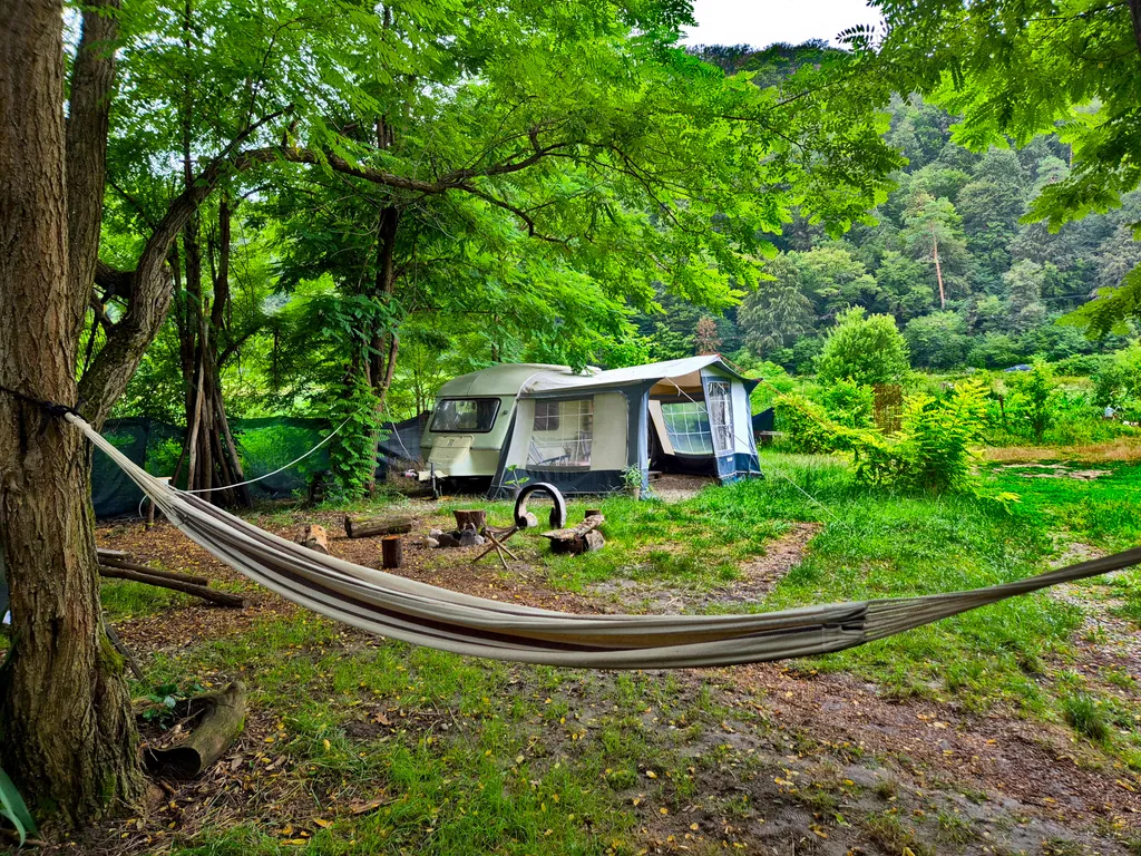 Hammock at the camp fire place