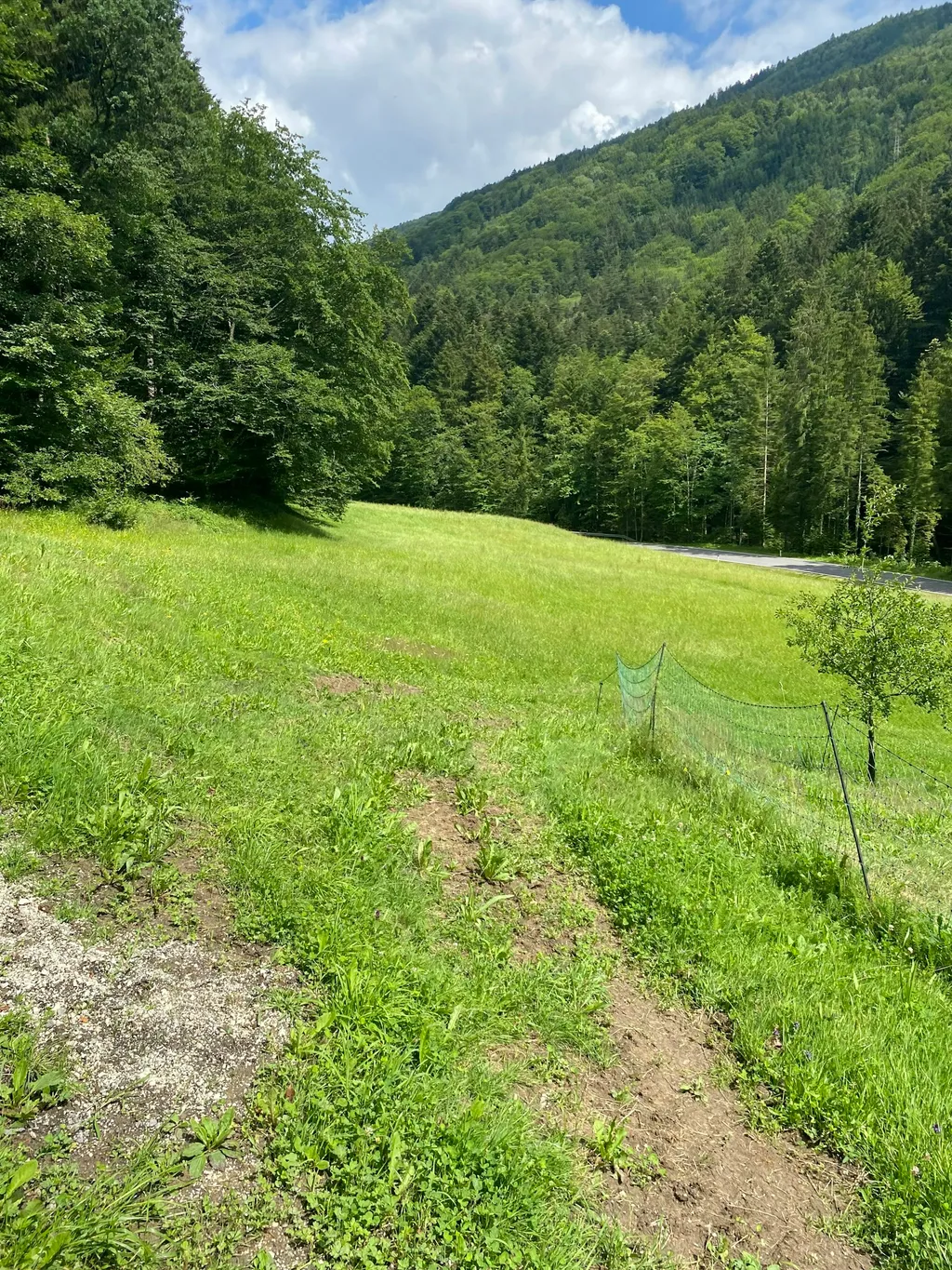 An der Wangauer Ache