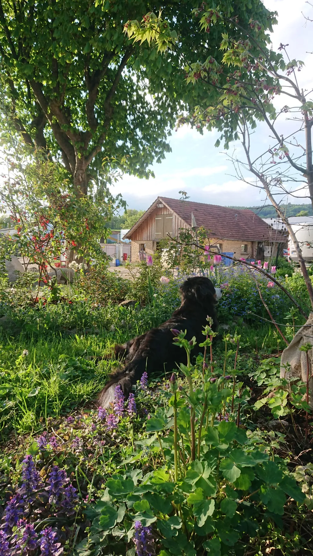 Natur geniessen, Überblick behalten