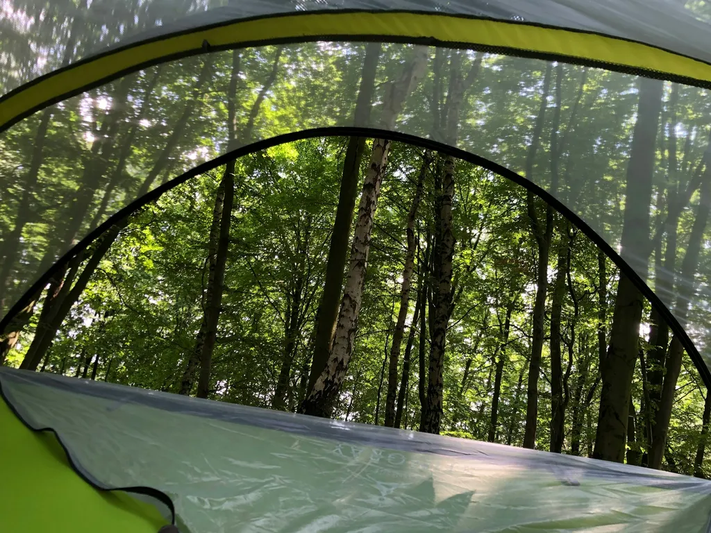 Schweben im Buchengrün