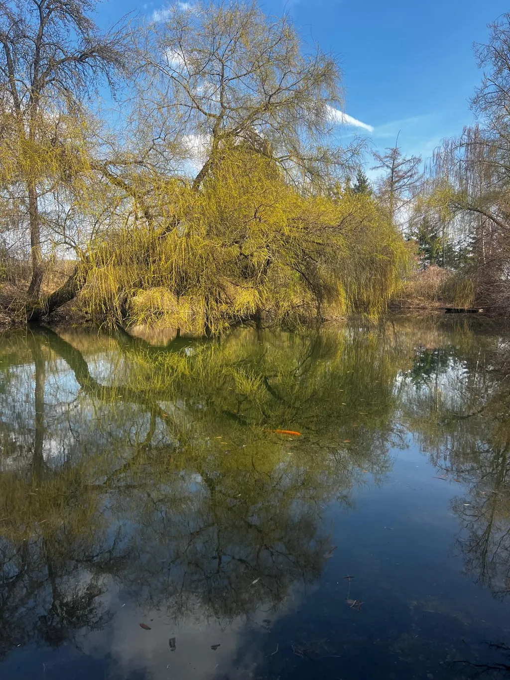 Bild von Hans für den Spot 1573