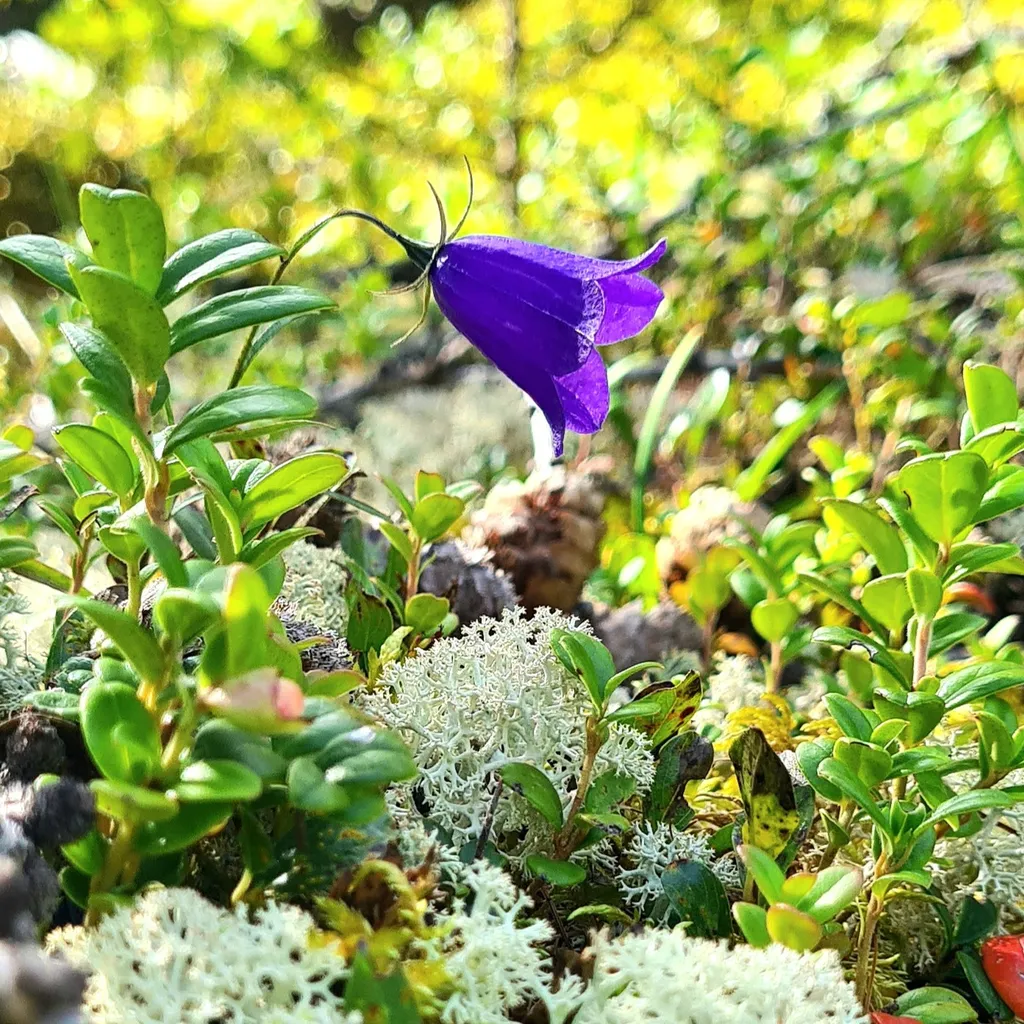 Profilbild von Manuela