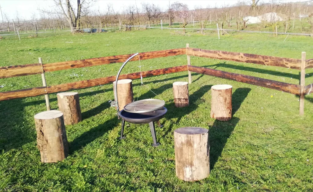 Zwischen Kirschbäumen und Hopfen
